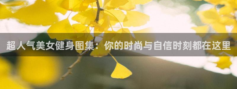 龙8国际唯一官网登录口