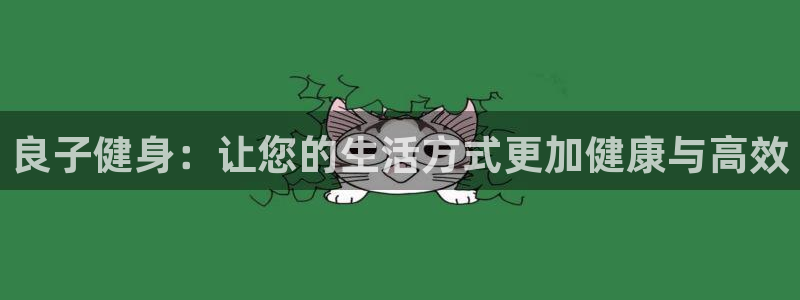 国际龙8官方网站