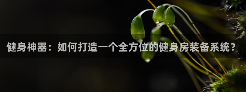 龙8国际手机登录|欢迎您的到来!