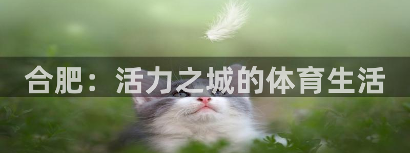 龙8国际网页登陆